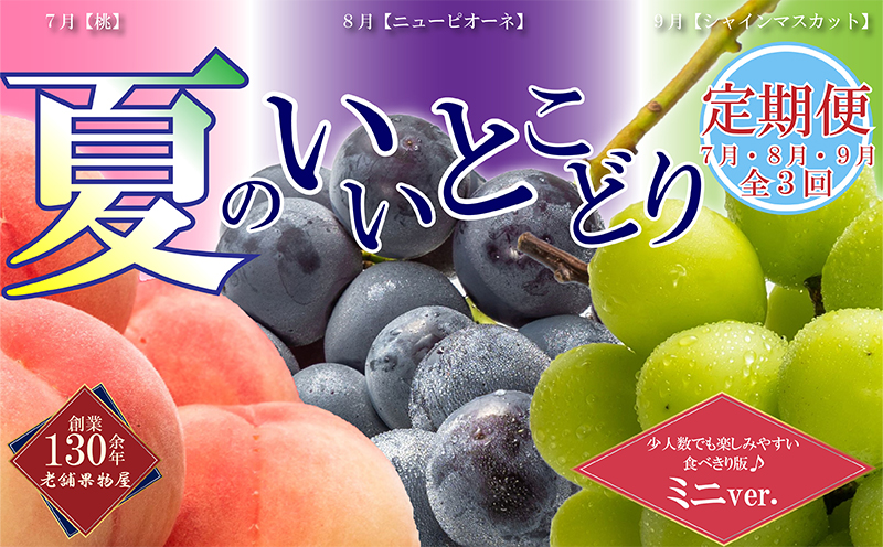【全3回】フルーツ定期便「丸亀市夏のいいとこどり定期便」〜少人数でも楽しみやすい食べきり版〜/シャインマスカット 桃 ピオーネ  定期配送 頒布会 果実 果物 フルーツ 旬のフルーツ フルーツギフト フルーツ定期 フルーツ定期便 果物定期 果物定期便 人気果物 人気フルーツ 夏フルーツ