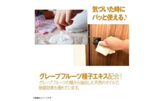 【7days,ボトルウェット(ノンアルコール)】【本体10個(100枚入)】日用品 ウェットティッシュ ウェットシート 人気日用品 まとめ買い 消耗品 掃除用品 掃除用具