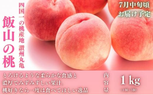 【全3回】フルーツ定期便「丸亀市夏のいいとこどり定期便」〜少人数でも楽しみやすい食べきり版〜/シャインマスカット 桃 ピオーネ  定期配送 頒布会 果実 果物 フルーツ 旬のフルーツ フルーツギフト フルーツ定期 フルーツ定期便 果物定期 果物定期便 人気果物 人気フルーツ 夏フルーツ