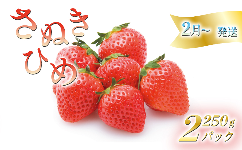 [2月中旬から順次発送] いちごのお姫様 さぬきひめ 約250g×2パック 苺 いちご 果物 フルーツ 果物 ブランド さぬき姫 ジューシー 果汁 甘い 季節 デザート スイーツ ふるさと納税いちご ふるさと納税フルーツ 国産 香川県 丸亀市