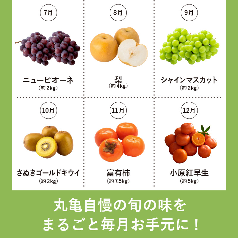 ãå®æäŸ¿12åã ãæºè¶³ããã¯ã ãã«ãŒã æç© å®æäŸ¿ ãã¡ã æ¡ ã·ã£ã€ã³ãã¹ã«ãã ãã³ãã³ ããªãŒã ã¿ãã ã¯ã£ãã ã³ã 梚 ããŠã€ æ¿ ãã¬ããŽãŒã«ãããŠã€ å
«æ å°åçŽ
æ©ç èº ãã¬ãã²ã ãã ãã¥ãŒããªãŒã æ¬ ã®ãã ãã«ãŒãå®æäŸ¿ æç©å®æ æç©å®æäŸ¿ éŠå·ç äžžäºåž