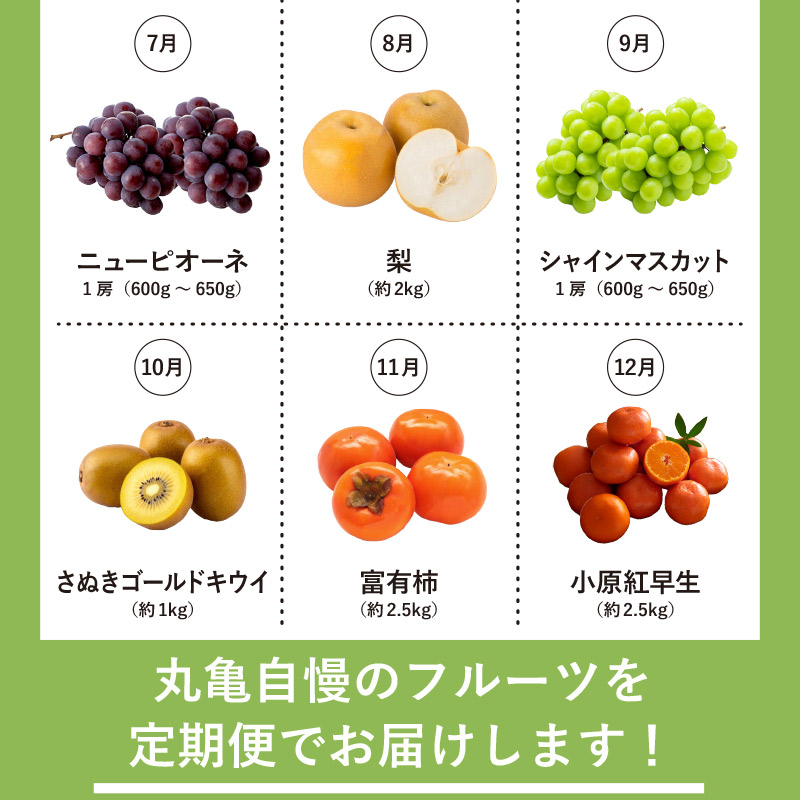 【定期便12回】 【お試しパック】 フルーツ 果物 定期便 いちご 桃 シャインマスカット デコポン ピオーネ みかん はっさく びわ 梨 キウイ 柿 さぬきゴールドキウイ 八朔 小原紅早生 苺 さぬきひめ もも ニューピオーネ 旬 ギフト フルーツ定期便 果物定期 果物定期便 香川県 丸亀市