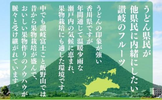 【全3回】フルーツ定期便「丸亀市夏のいいとこどり定期便」/シャインマスカット 桃 ピオーネ  定期配送 頒布会 果実 果物 フルーツ 旬のフルーツ フルーツギフト フルーツ定期 フルーツ定期便 果物定期 果物定期便 人気果物 人気フルーツ 夏フルーツ  香川 丸亀