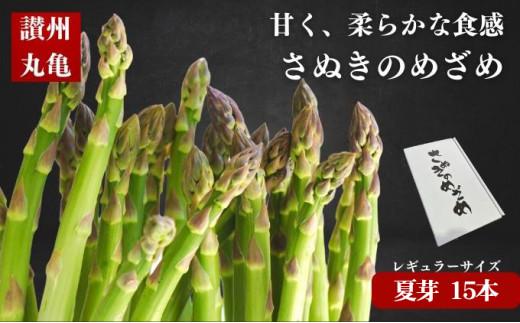 【6月上旬～9月上旬】 アスパラ アスパラガス 1.5kg さぬきのめざめ 夏芽 グリーンアスパラ グリーンアスパラガス 野菜 やさい ベジタブル 食物繊維 先行予約 期間限定 香川県 丸亀市