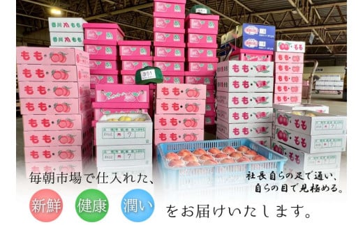 【全3回】 フルーツ定期便 温州みかん いちご せとか デコポン 小原紅早生 さぬき姫いちご みかん 蜜柑 オレンジ 苺 イチゴ 不知火 柑橘 高級 果物 フルーツ 定期便 デザート 果実 青果 甘い ジュース ゼリー ケーキ アイス シャーベット スイーツ 冬の味覚 国産 香川県 丸亀市 くだもの畑 PonPon