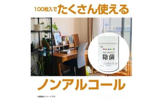 【7days,ボトルウェット(ノンアルコール)】【本体10個(100枚入)】日用品 ウェットティッシュ ウェットシート 人気日用品 まとめ買い 消耗品 掃除用品 掃除用具