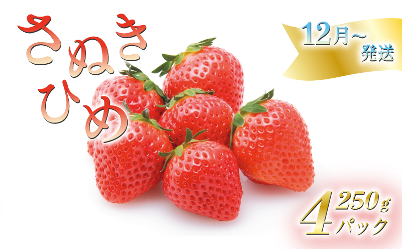 【12月中旬から順次発送】 いちごのお姫様 さぬきひめ 約250g×4パック 苺 いちご 果物 フルーツ 果物 ブランド さぬき姫 ジューシー 果汁 甘い 季節 デザート スイーツ ふるさと納税いちご ふるさと納税フルーツ 国産 香川県 丸亀市
