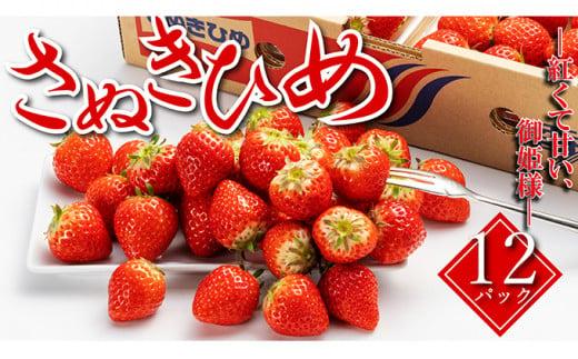 【早期予約】【2026年2月上旬以降発送開始】 いちご さぬきひめ 12パック 丸亀の紅い宝石 苺 イチゴ いちご人気 フルーツ 果物 デザート 旬 産地直送 旬の果物 旬のフルーツ お取り寄せ 取り寄せ 冷蔵 冷蔵配送