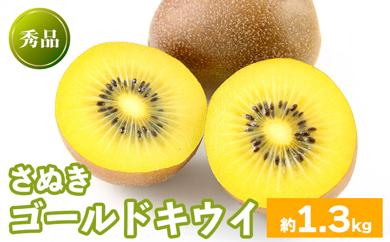 先行予約 キウイフルーツ さぬきゴールド 約1.3kg  果物 フルーツ キウイ ゴールドキウイ イエローキウイ デザート スイーツ ケーキ ジュース ゼリー アイス シャーベット ジェラート フルーツ大福 ドライフルーツ  ギフト 家庭用 旬の果物 旬 ビタミンC 美容 健康 お取り寄せ グルメ 人気 おすすめ 香川県 丸亀市