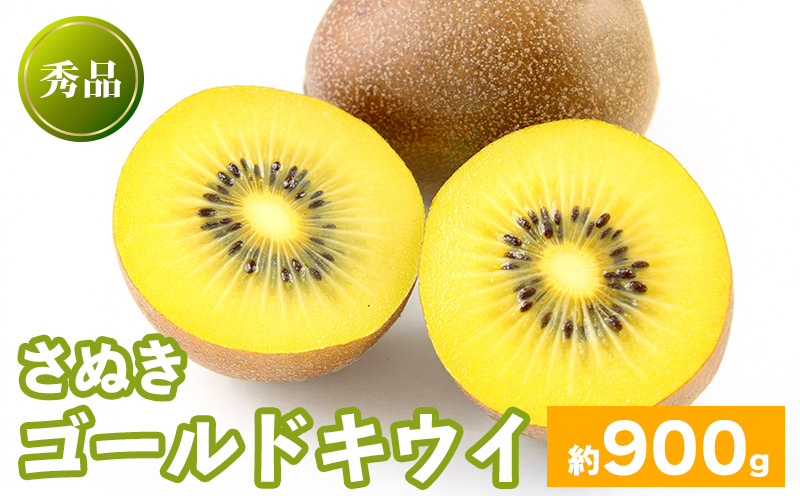 先行予約 キウイフルーツ さぬきゴールド 約900g  果物 フルーツ キウイ ゴールドキウイ イエローキウイ デザート スイーツ ケーキ ジュース ゼリー アイス シャーベット ジェラート フルーツ大福 ドライフルーツ  ギフト 家庭用 旬の果物 旬 ビタミンC 美容 健康 お取り寄せ グルメ 人気 おすすめ 香川県 丸亀市