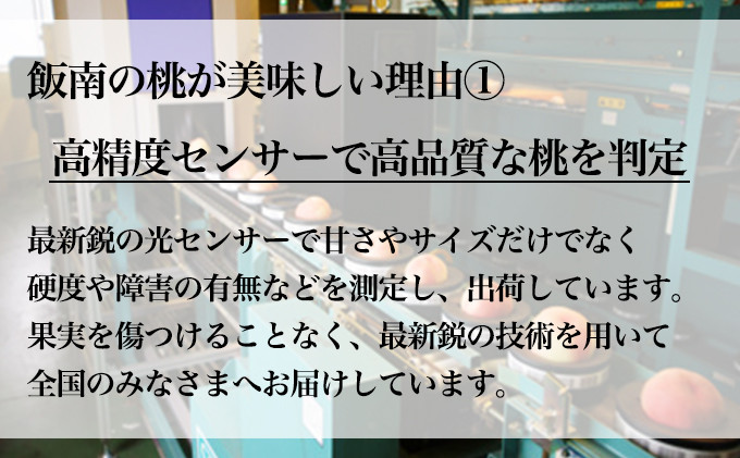 【2026年早期予約】特秀品 桃 約4kg （目安:11玉～14玉) 讃州丸亀 飯南の桃 贈答箱 もも モモ 果物 くだもの 果実 フルーツ 旬 旬の果物 デザート スイーツ おやつ ゼリー ジュース 人気果物 人気フルーツ ランキング 香川 丸亀