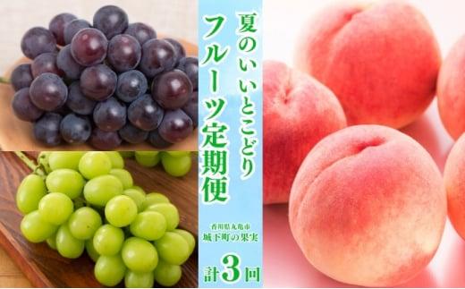 【全3回】フルーツ定期便「丸亀市夏のいいとこどり定期便」〜少人数でも楽しみやすい食べきり版〜/シャインマスカット 桃 ピオーネ  定期配送 頒布会 果実 果物 フルーツ 旬のフルーツ フルーツギフト フルーツ定期 フルーツ定期便 果物定期 果物定期便 人気果物 人気フルーツ 夏フルーツ