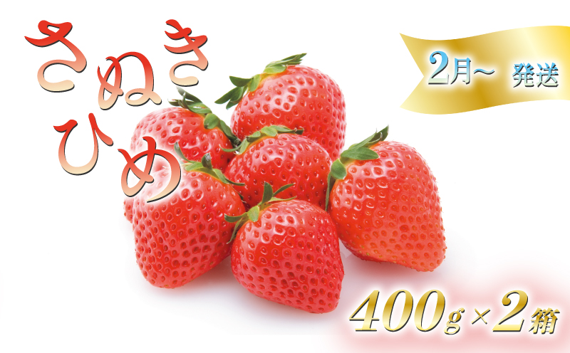 【2月から順次発送】 いちごのお姫様 さぬきひめ 約800g (400g×2箱) 苺 いちご 果物 フルーツ 果物 ブランド さぬき姫 ジューシー 果汁 甘い 季節 デザート スイーツ ふるさと納税いちご ふるさと納税フルーツ 国産 香川県 丸亀市