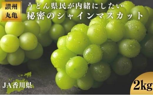 【9月配送】 シャインマスカット 約2kg マスカット シャインマスカット ぶどう 葡萄 ブドウ フルーツ 果物 くだもの 果実 フルーツ 旬 旬の果物 デザート スイーツ おやつ ゼリー ジュース 人気果物 人気フルーツ ランキング 香川 丸亀