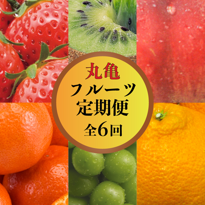 【果物を贅沢に味わう】 丸亀のフルーツ定期便 全6回 キウイ いちご 不知火 桃 シャインマスカット みかん さぬきひめ さぬき紅みかん 香緑 香川県 丸亀市