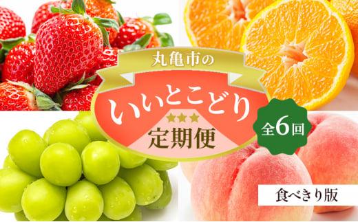 フルーツ定期便 丸亀市のいいとこどり定期便/ 少人数でも楽しみやすい食べきり版【全6回】シャインマスカット 桃 ピオーネ いちご みかん さぬきひめ 定期配送 頒布会 果実 果物 フルーツ 旬のフルーツ フルーツギフト フルーツ定期 フルーツ定期便 果物定期 果物定期便 人気果物 人気フルーツ 夏フルーツ 冬フルーツ