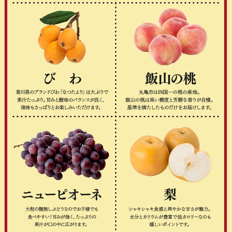 【定期便12回】 【お試しパック】 フルーツ 果物 定期便 いちご 桃 シャインマスカット デコポン ピオーネ みかん はっさく びわ 梨 キウイ 柿 さぬきゴールドキウイ 八朔 小原紅早生 苺 さぬきひめ もも ニューピオーネ 旬 ギフト フルーツ定期便 果物定期 果物定期便 香川県 丸亀市