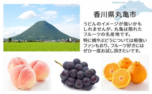 フルーツ 定期便 6ヶ月 丸亀市のいいとこどり定期便 セット 詰め合わせ 桃 ニューピオーネ シャインマスカット みかん いちご デコポン さぬきひめ せとか 果物 6回 半年 デザート フルーツ定期 フルーツ定期便 果物定期 果物定期便 人気果物 人気フルーツ 香川 丸亀