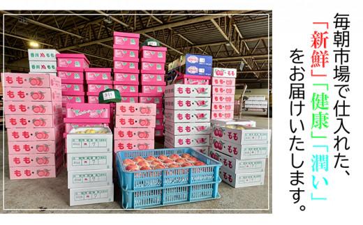 ã2026幎11æäžæ¬ããé æ¬¡çºéããæ¥µæ°ãæž©å·ã¿ãã çŽ 5kg ãã«ãŒã æç© ææ© ææ©é¡ ãã¶ãŒã ããã€ æ¬ ç£å°çŽé å¬ã®å³èŠ æ¬ã®æç© æ¬ã®ãã«ãŒã ãåãå¯ã åãå¯ã éæç¡æ ã¿ãã éŠå· æž©å·ãã«ã³ ãã«ã³ èæ