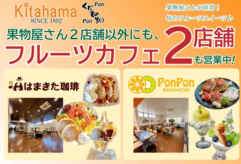 【2026年11月中旬より順次発送】【特秀品】みかん 小原紅早生 約3kg 真っ赤なみかん 小原紅早生みかん 甘い ミカン 蜜柑 フルーツ 果物 くだもの 柑橘 柑橘類 デザート 旬 産地直送 冬の味覚 旬の果物 旬のフルーツ お取り寄せ 取り寄せ