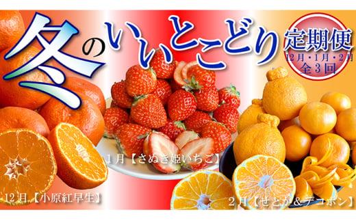 【全3回】 フルーツ定期便 温州みかん いちご せとか デコポン 小原紅早生 さぬき姫いちご みかん 蜜柑 オレンジ 苺 イチゴ 不知火 柑橘 高級 果物 フルーツ 定期便 デザート 果実 青果 甘い ジュース ゼリー ケーキ アイス シャーベット スイーツ 冬の味覚 国産 香川県 丸亀市 くだもの畑 PonPon