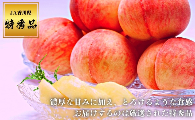 【2026年早期予約】特秀品 桃 約4kg （目安:11玉～14玉) 讃州丸亀 飯南の桃 贈答箱 もも モモ 果物 くだもの 果実 フルーツ 旬 旬の果物 デザート スイーツ おやつ ゼリー ジュース 人気果物 人気フルーツ ランキング 香川 丸亀