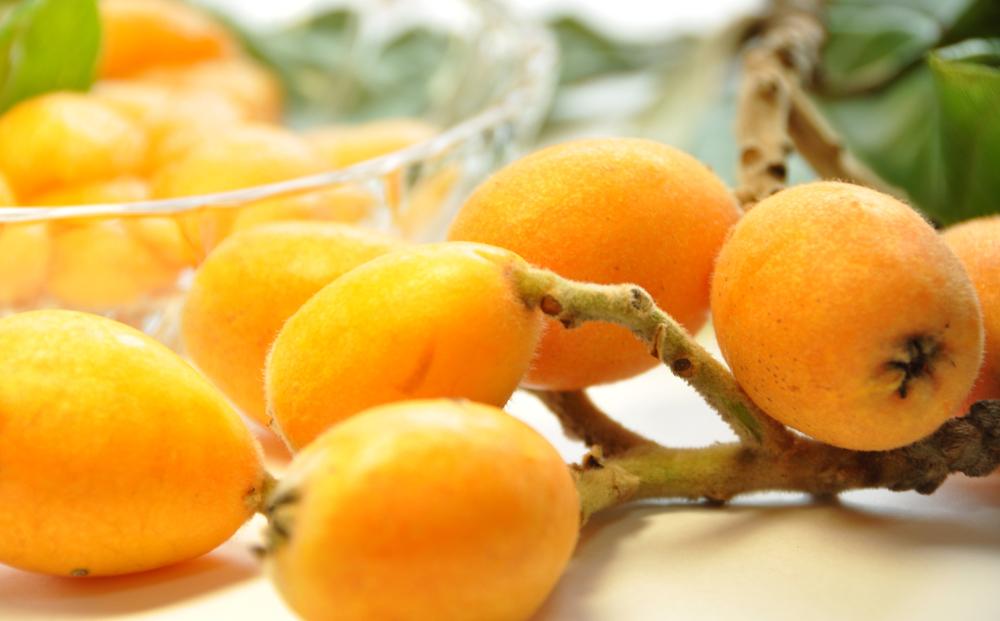 びわ 坂出市産 約1.8kg ( 4パック× 2箱 )｜初夏の味覚