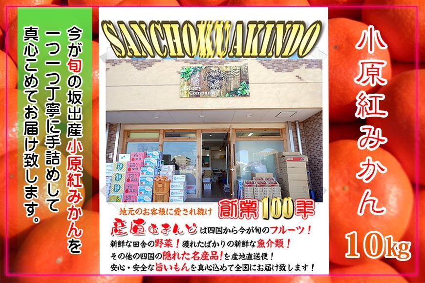 âªå
è¡å泚â«å°åçŽ
æ©çã¿ãã éŠå·çç£ çŽ10kg (S ïœ Lãµã€ãº) ïœ ã¿ãã