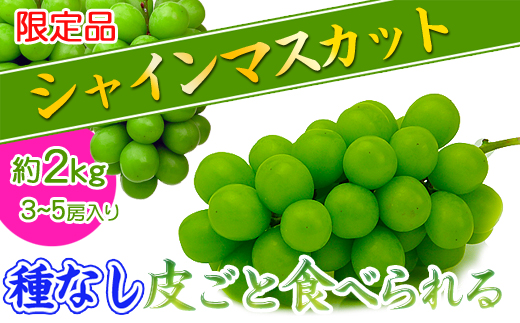 縲2026蟷エ逋コ騾√狗音遘蜩√す繝」繧、繝ウ繝槭せ繧ォ繝繝2kg縺ョ隧ー繧∝粋繧上○
