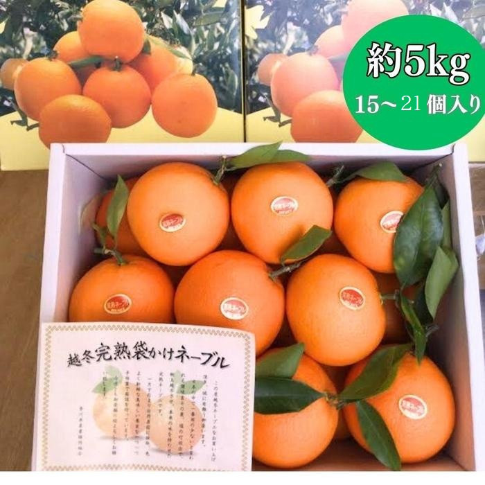 è¶å¬å®çè¢æãããŒãã« çŽ5kg ïŒ15ã21åå
¥ãïŒ