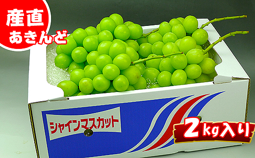 縲2026蟷エ逋コ騾√狗音遘蜩√す繝」繧、繝ウ繝槭せ繧ォ繝繝2kg縺ョ隧ー繧∝粋繧上○