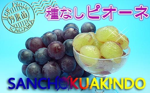 ã2026幎çºéããã¥ãŒããªãŒã ç§å 2kg ( çŽ3 ~ 5æ¿ ) ïœã¶ã©ã éŠå·ç£ 人æ°åçš®