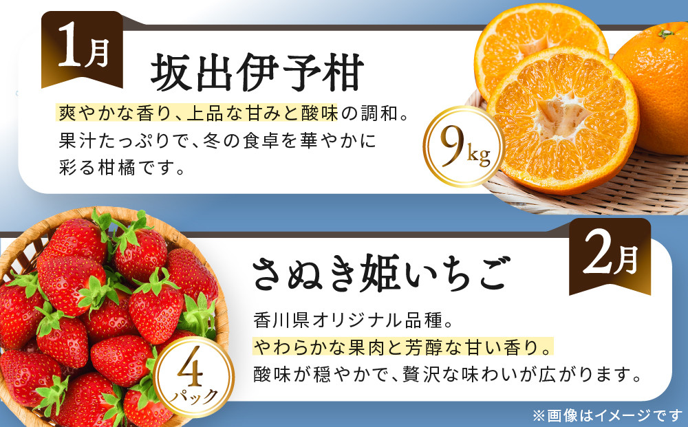 《特選プラチナコース》産直あきんど厳選フルーツ！魅惑の12回便