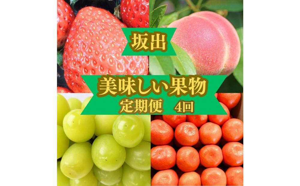 ＜定期便＞坂出の美味しい果物定期便　季節の果物を年間４回に分けてお届け！