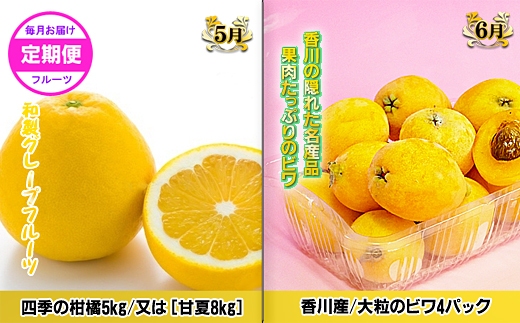 ããŽãŒã«ãã³ãŒã¹Aãç£çŽãããã©å³éžãã«ãŒãïŒé
æã®12å䟿