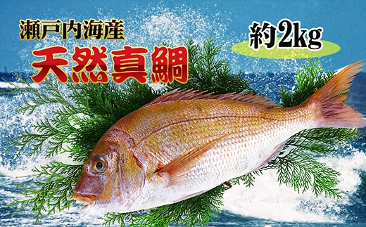 [荳句ヲ逅縺ェ縺余竕ェ轢ャ謌ク蜀豬キ逕」竕ォ譛1逡ェ豌エ謠壹£縺輔l縺溷、ゥ辟カ逵滄ッ帙r逶エ騾∬エ縺励∪縺吶ゑシサ迚ケ螟ァ繧オ繧、繧コシス