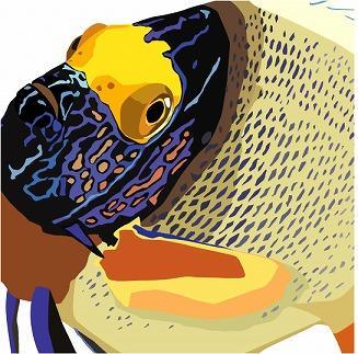 SEALIFE 250L逕ィシ井ココ蟾・豬キ豌エシ嘉2陲