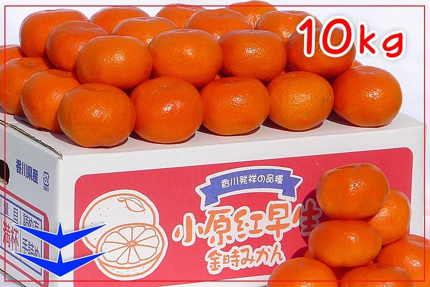 âªå
è¡å泚â«å°åçŽ
æ©çã¿ãã éŠå·çç£ çŽ10kg (S ïœ Lãµã€ãº) ïœ ã¿ãã