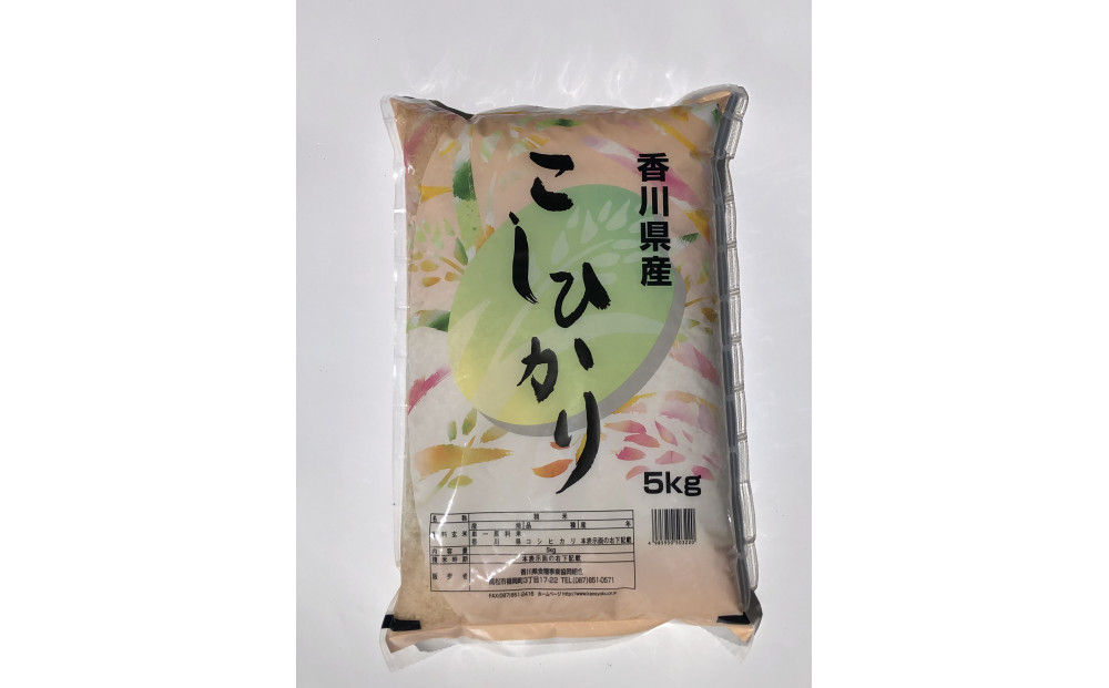 令和7年度　香川県産コシヒカリ5kg