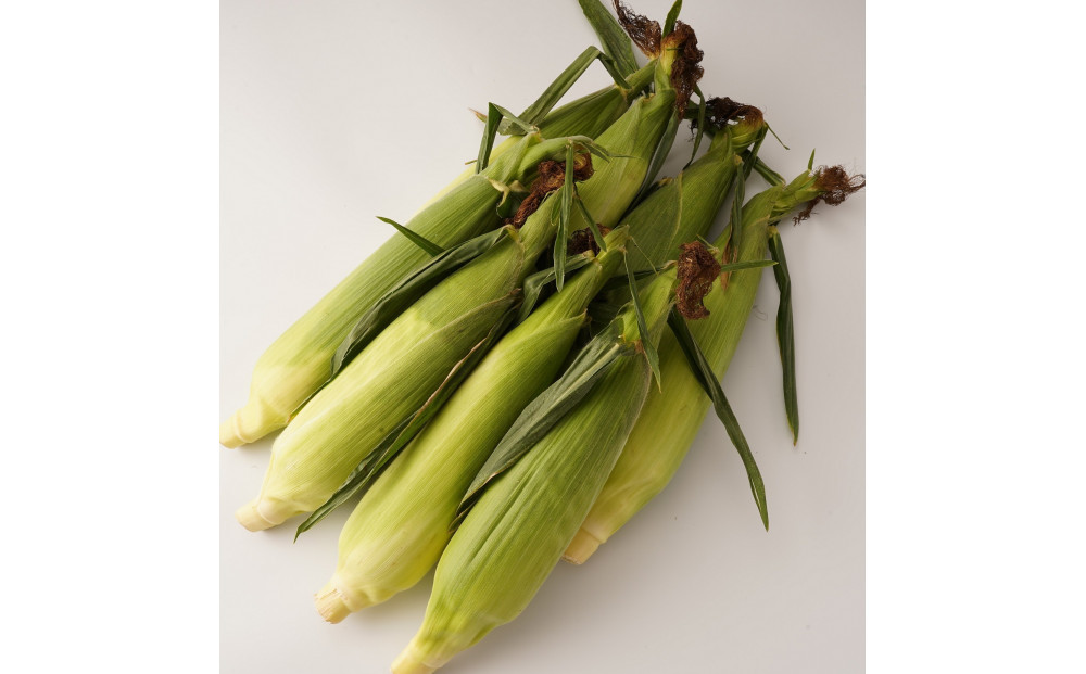 ïŒ2026幎6æäžæ¬ä»¥éçºéã»å
è¡äºçŽïŒãšããããã ãã¯ã€ãã³ãŒã³ çŽ2.5kgÃ2