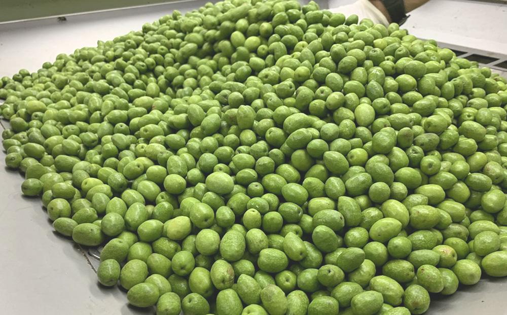 ç¬æžå
ãªãªãŒãå åœç£ïŒ¥ïŒžïŒ¶ãªãªãŒããªã€ã« 150mlÃ3æ¬