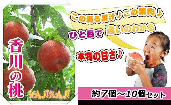 ïŒæ»Žãææ±ãšããµããæèãèªæ
¢ã®ããïŒäžçã®æ¡2kgã»ãããå
è¡äºçŽã»2026幎6æäžæ¬ããé æ¬¡çºéãç§åïŒçŽ7ïœ10åå
¥ãïŒ