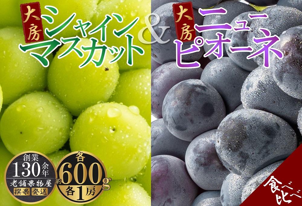 大房シャインマスカット＆大房ニューピオーネ　各1房（各約600g）