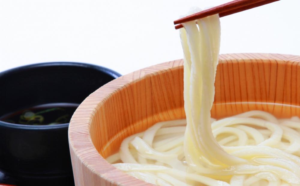 さぬきまるふじ　生うどん　15人前　ざる・醤油