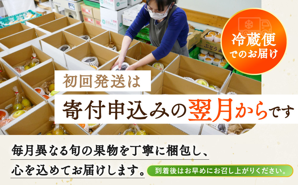 《特選プラチナコース》産直あきんど厳選フルーツ！魅惑の12回便