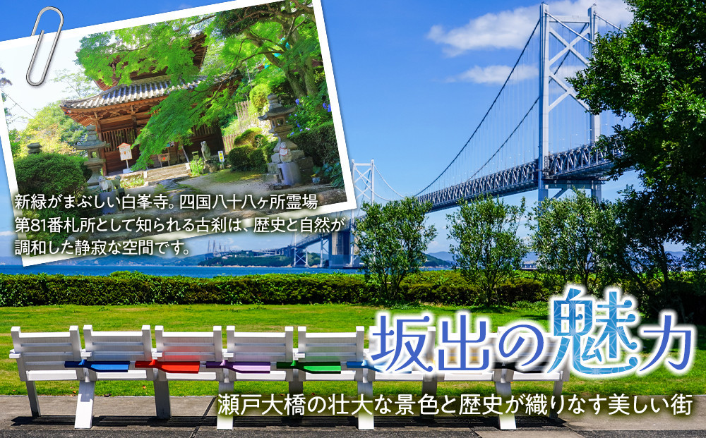 【母の日ギフト】【Cafe悠花】プレミアムシフォンケーキ　6個セット