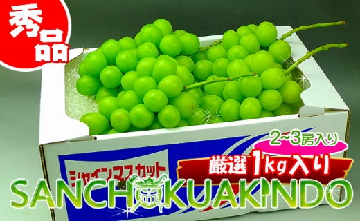 《2026年発送》特秀品シャインマスカット1kgの詰め合わせ【数量限定】