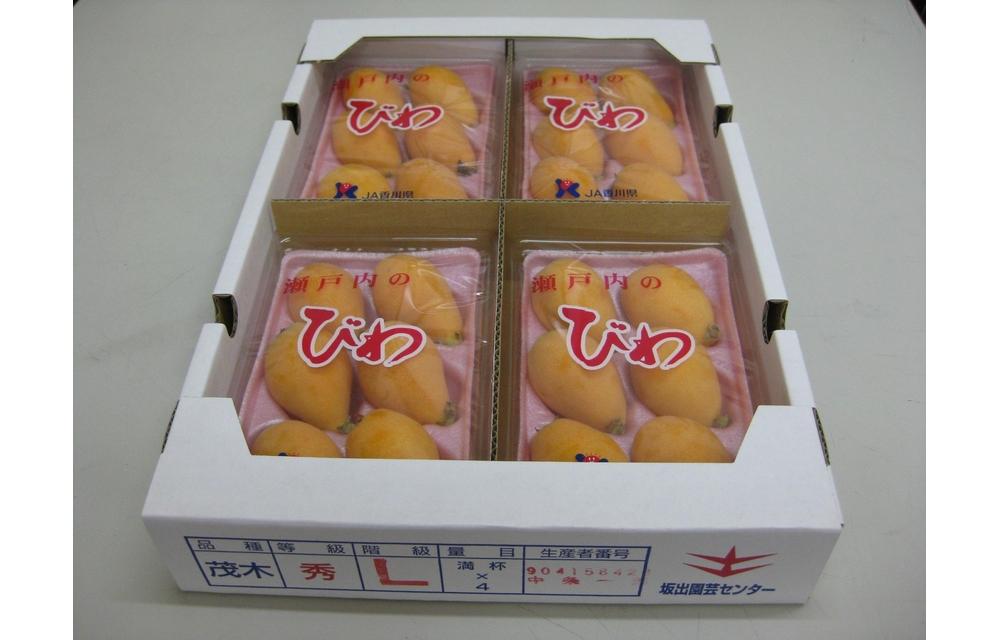 びわ 坂出市産 約1.6kg ( 4パック × 2箱 )｜初夏の味覚