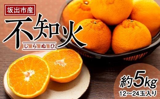坂出市産　不知火（しらぬひ）約5kg（12～24玉入り）