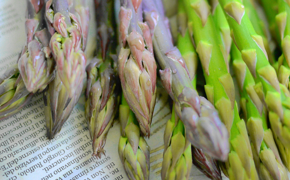 ã°ãªãŒã³ã¢ã¹ãã© & 玫ã¢ã¹ãã© ã»ãã çŽ1.3kg ( ã°ãªãŒã³ã¢ã¹ãã©ã¬ã¹çŽ800g & 玫ã¢ã¹ãã©ã¬ã¹çŽ500g ) ååºåžç£ïœã¢ã¹ãã©ã¬ã¹